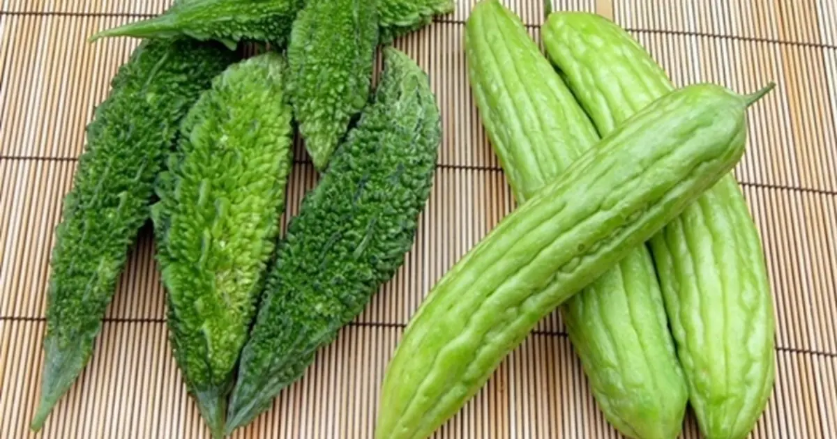 What Does Bitter Melon Do to Your Body? Doctors Reveal the Answer