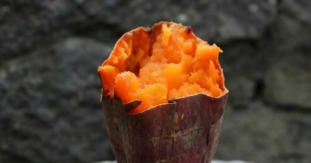 Boiled Sweet Potatoes for Breakfast: A Simple Way to Start the Day Nutritiously...