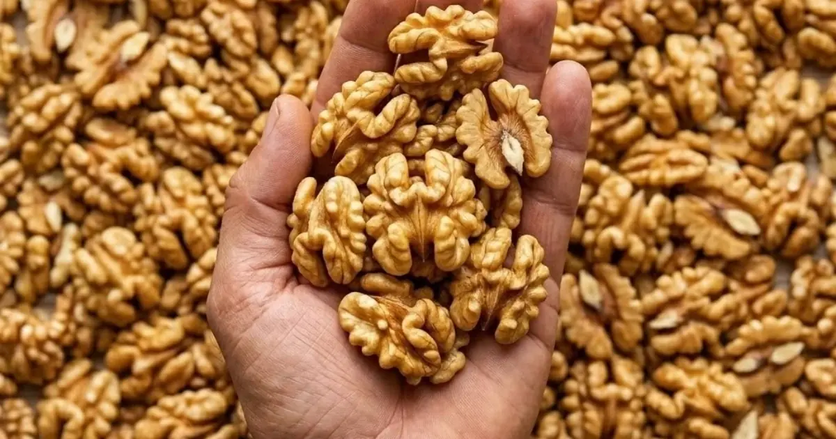 Proven Health Benefits of Walnuts: How Many to Eat, and More Science-Based Insights