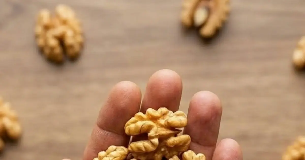 What Really Happens to Your Body When You Eat Walnuts? Doctors Reveal