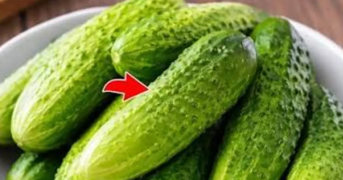 Before You Add More Cucumber to Your Salad, Read This