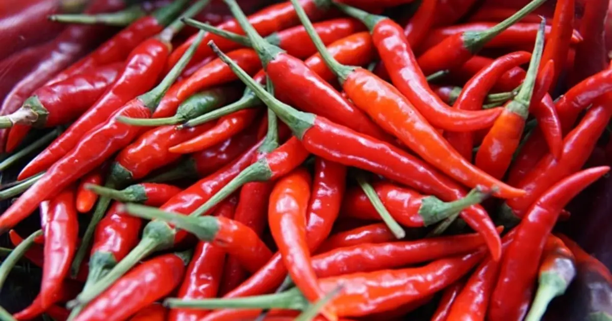 Doctors Reveal What Eating Cayenne Pepper Can Do to Your Body