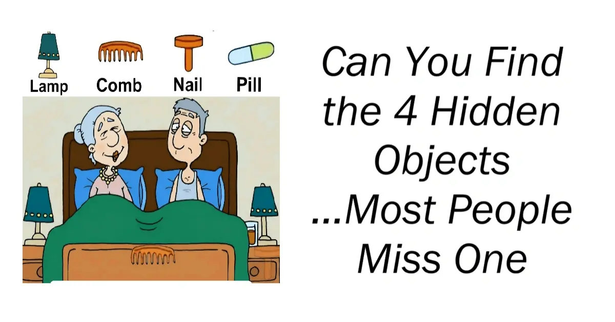 Think You’re Good at Puzzles? Find the 4 Hidden Objects!