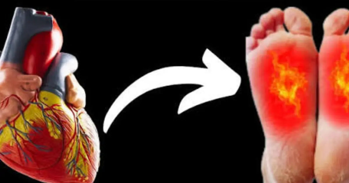 7 Possible Warning Signs of a Heart Attack You Should Never Ignore—#6 May Surprise You!