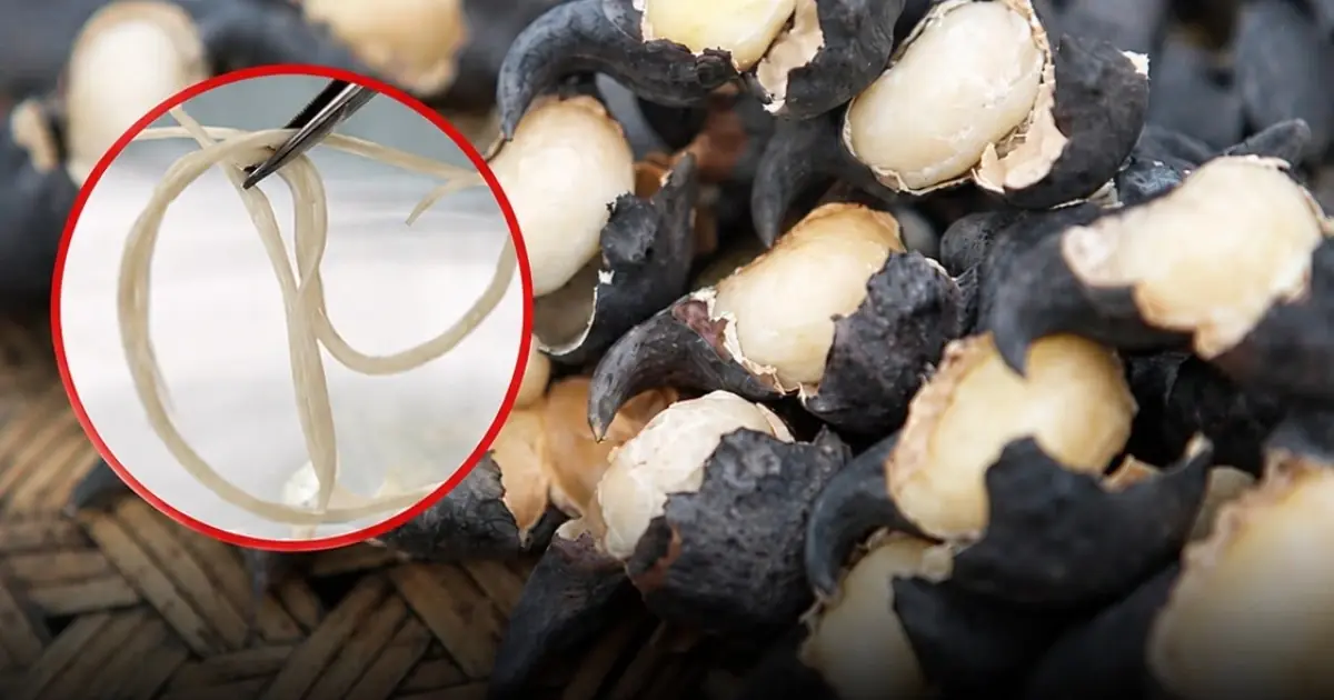 Experts reveal which vegetables deserve extra attention before eating raw