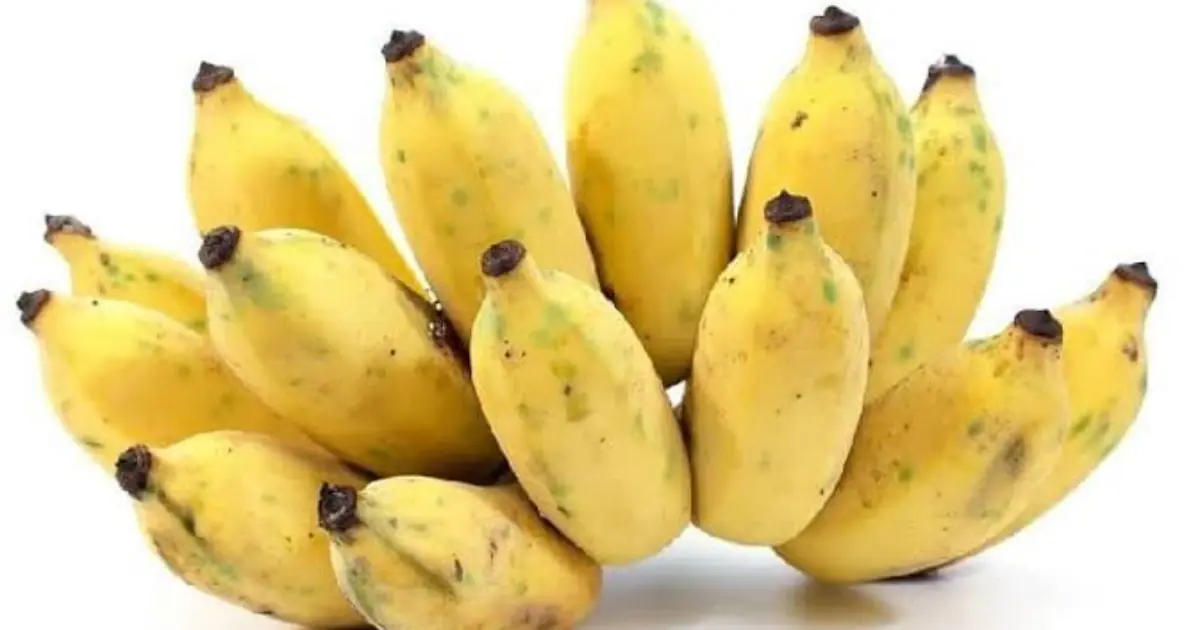 Thinking About Eating a Banana Before Bed? These Effects May Surprise You