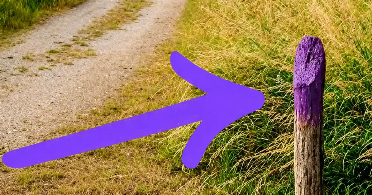 What Does a Purple Fence Mean? The Surprising Message Hidden in Plain Sight