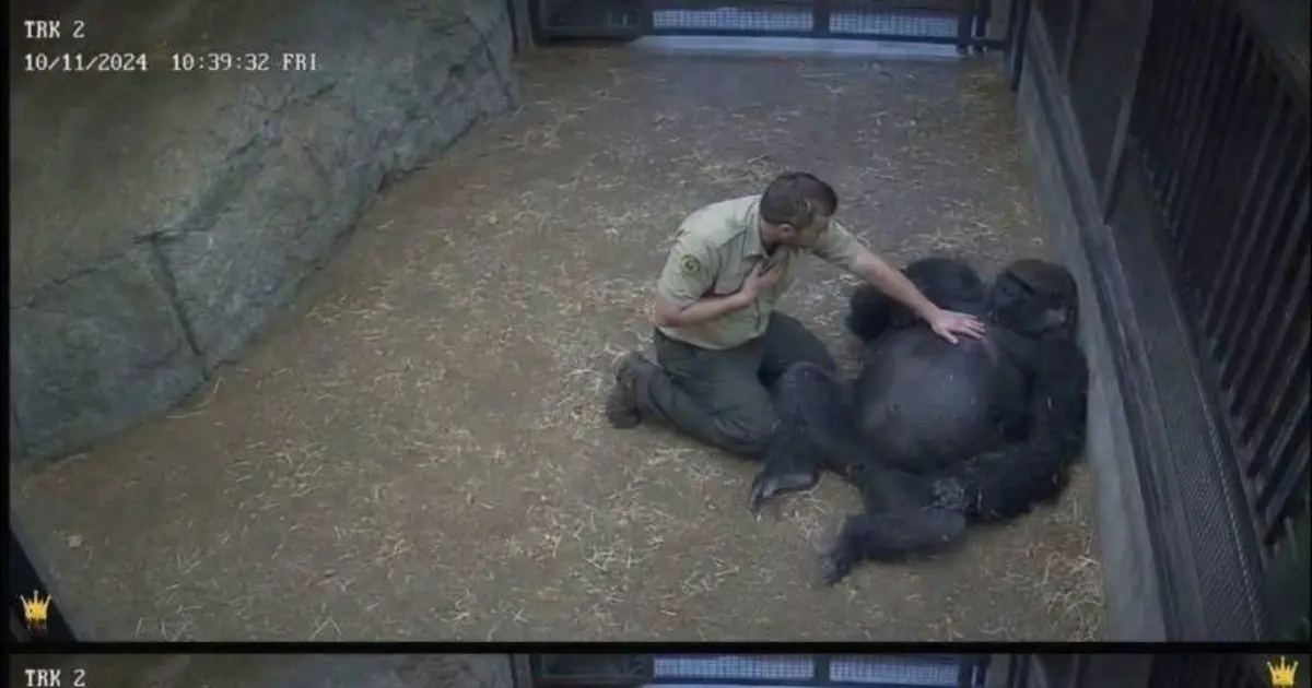 How a Beloved Animal Helped Save His Caretaker's Life