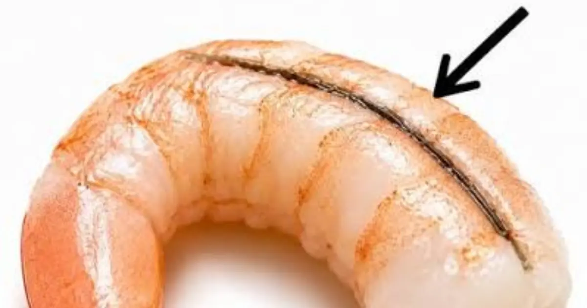 The Truth About the Black Line in Shrimp—Most People Get This Wrong!