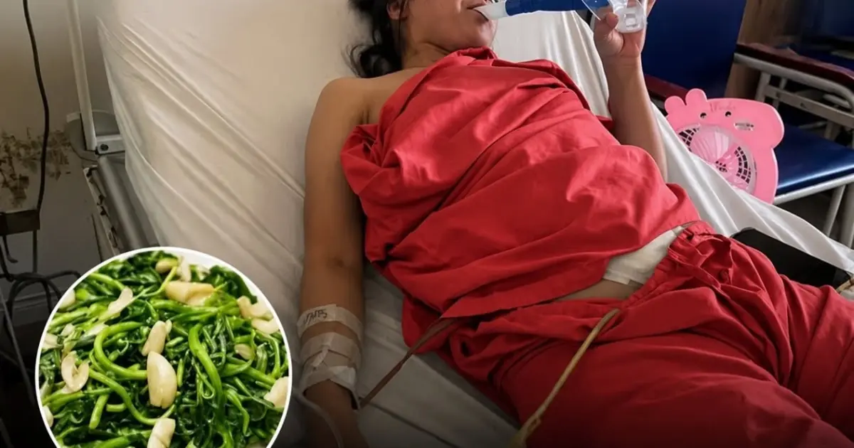 Doctor Says “This Vegetable Is Pois.onous… You Shouldn’t Eat It”