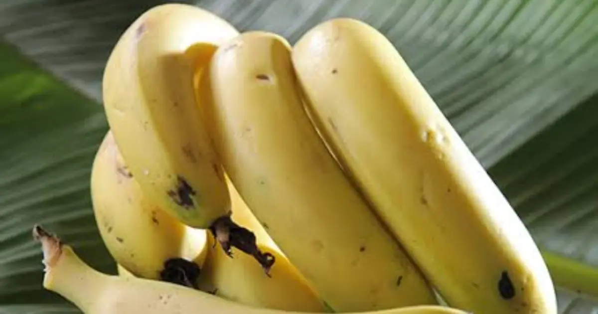 If You’re Over 60, Don’t Stop Eating Bananas—But Know When You May Need to Be Careful
