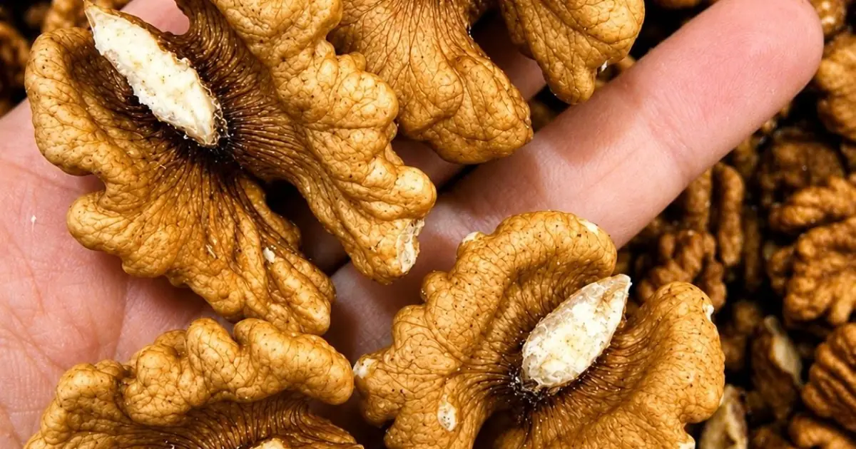 Doctors Reveal What Really Happens to Your Body When You Eat Walnuts Regularly