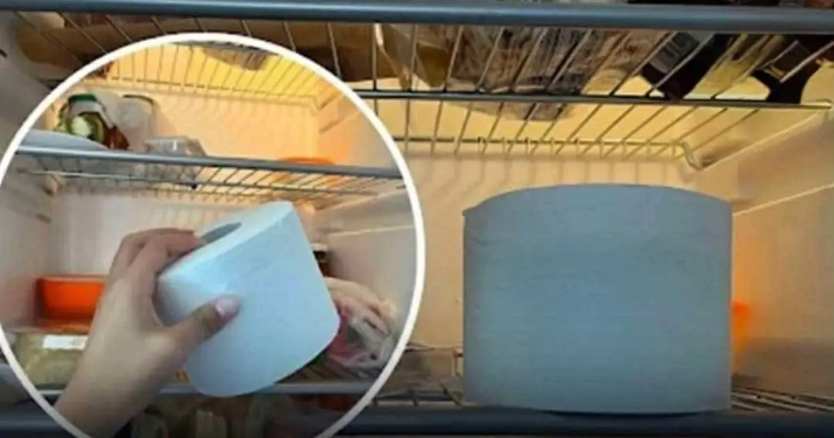 Put a Roll of Toilet Paper in Your Fridge? The Surprising Household Trick Explained
