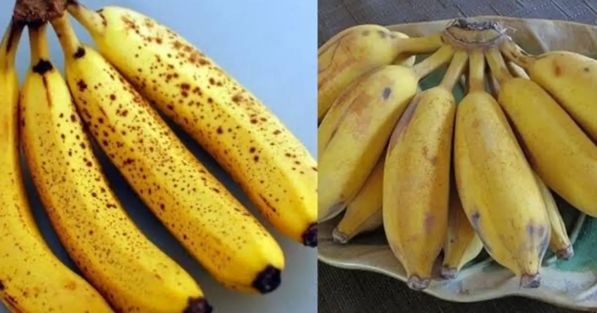 Doctors Reveal What Eating a Banana First Thing in the Morning May Do to Your Body