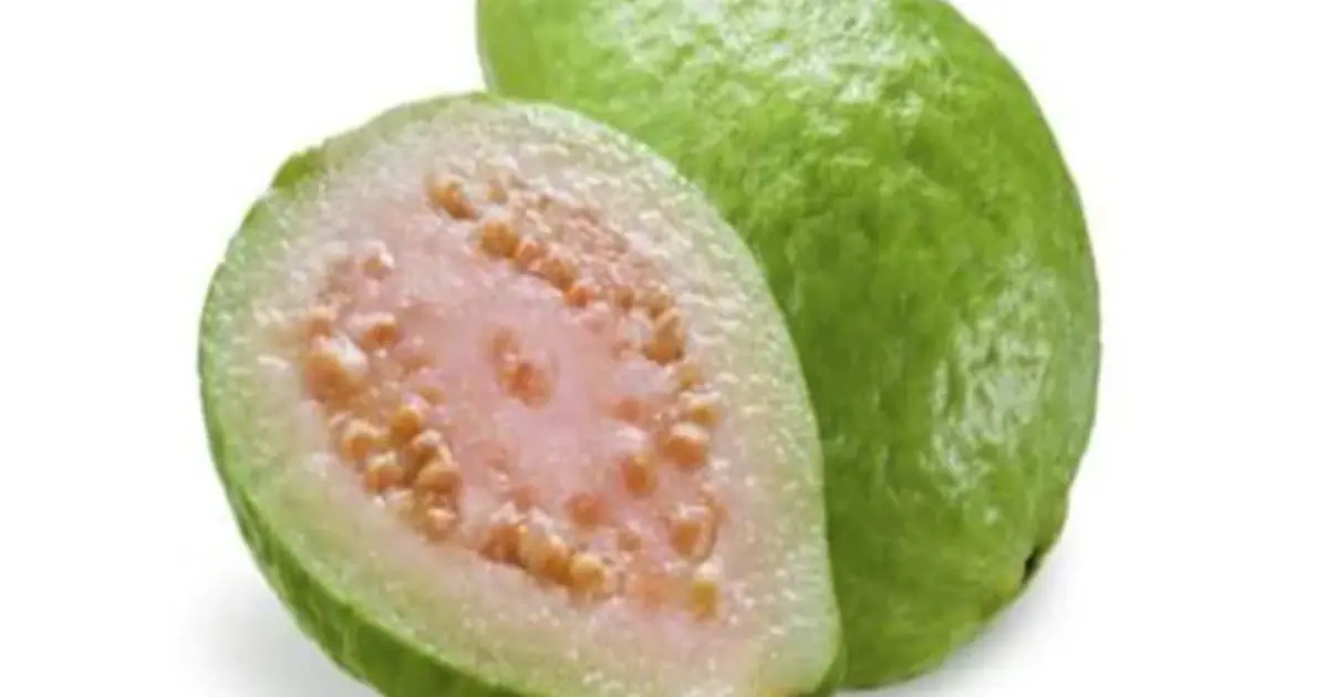 Doctors Reveal the Surprising Effects of Eating Guava—But There’s One Thing You Should Know First… 👇