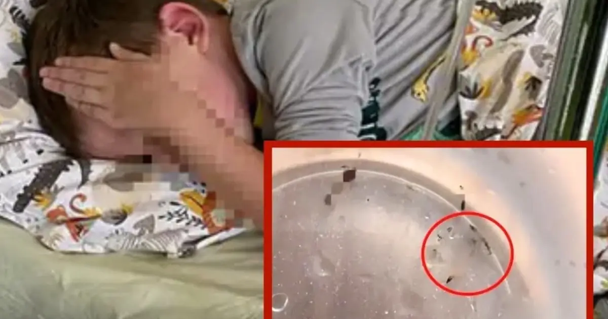 8-Year-Old Boy Kept Vomiting Worm-Like Creatures Every Few Days—Doctors Say The Cause Was Something Unexpected In His Home