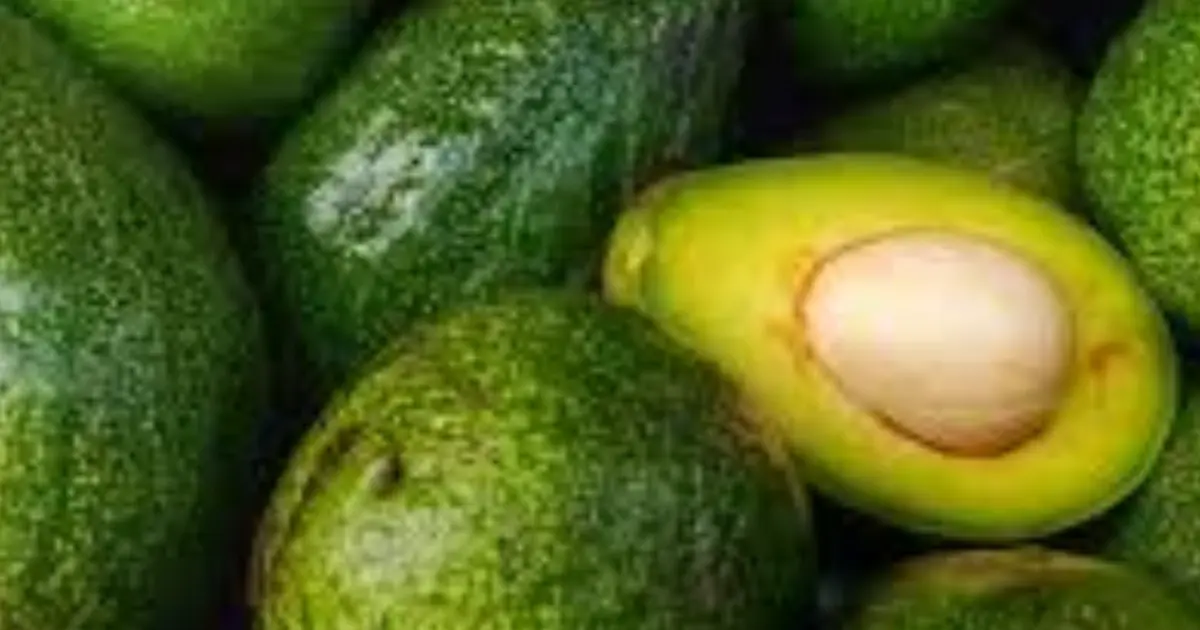 You Eat Avocados Often? Doctors Say You Should Know THIS…