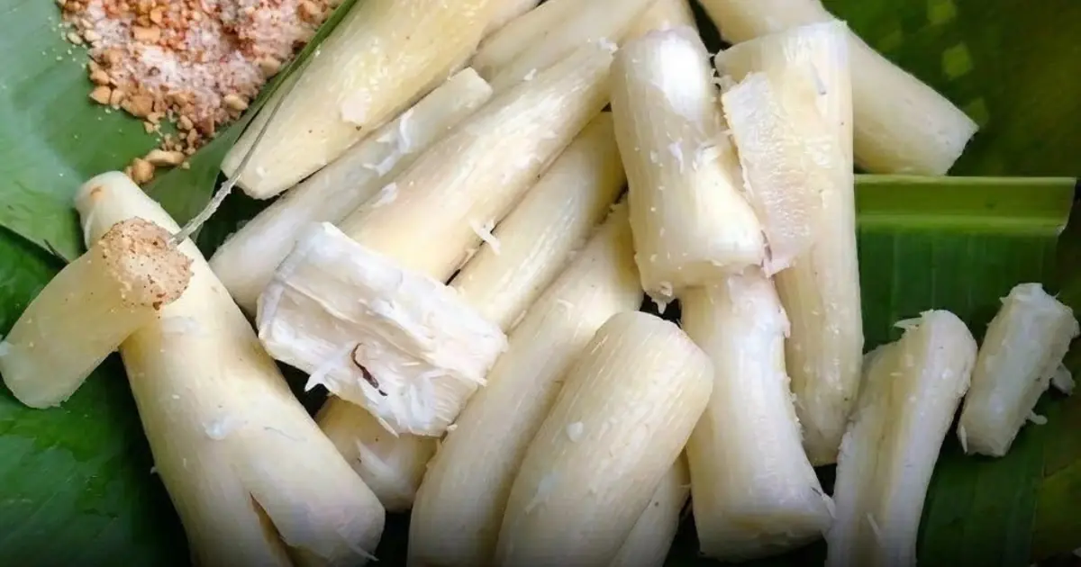 This Common Food Is Eaten by Millions Every Year But It Can Be Dan.gerous If Not Prepared Properly...