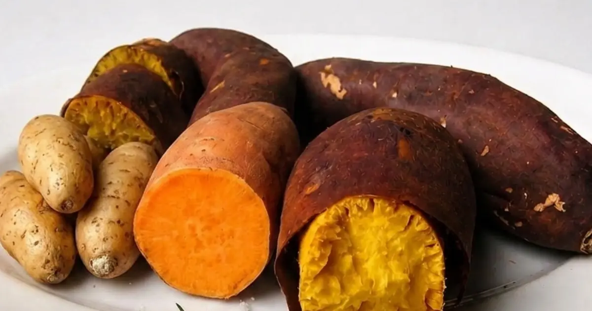 Sweet Potatoes Aren’t Just Delicious — See What They May Do Inside Your Body