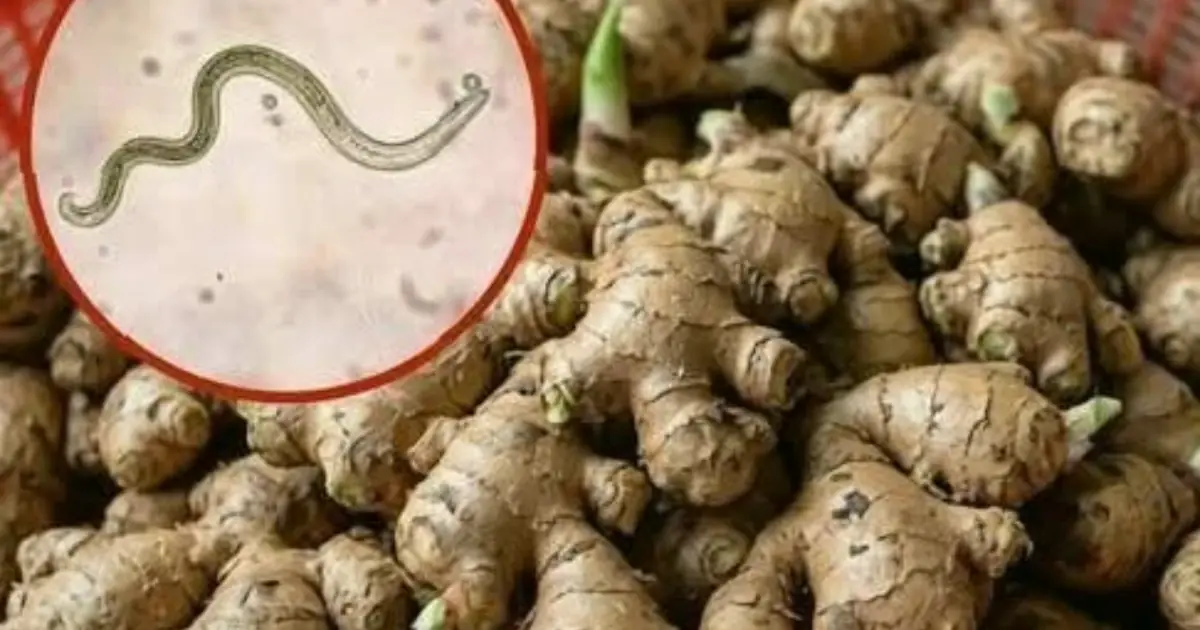 The vegetable experts say is most likely to carry hidden parasites — and how to handle it safely.