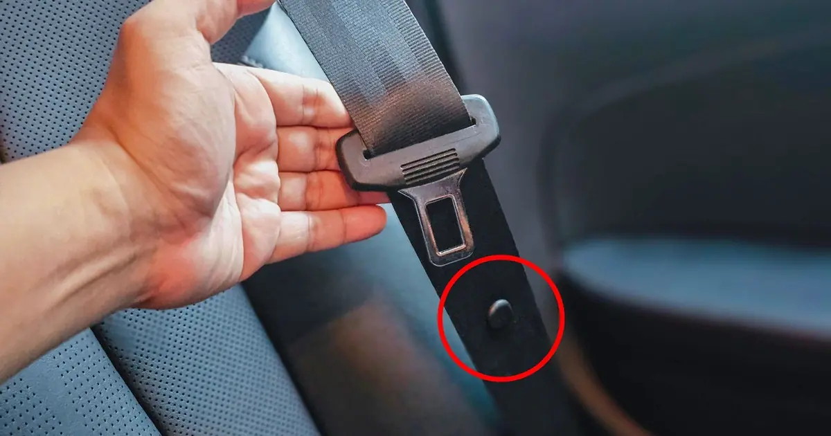 Ever Wondered What the Small Button on Your Seat Belt Is For?