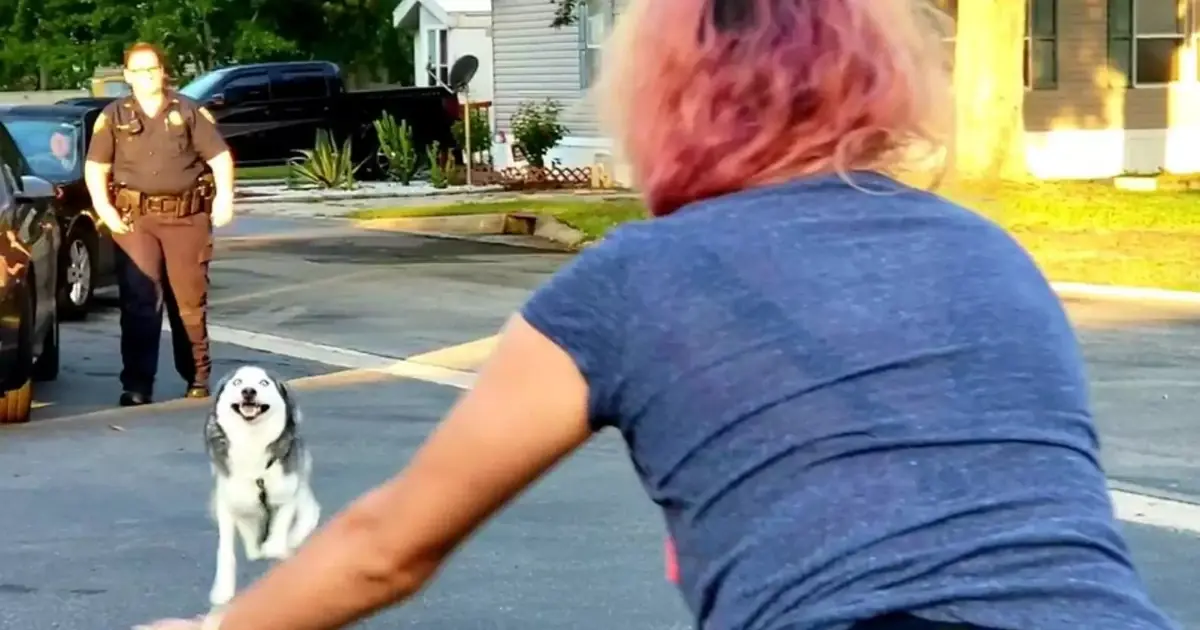 A Can.cer Survivor Lost Her Beloved Dog After Her Roommate Took Him - She Fought for 3 Years to Be Reunited.