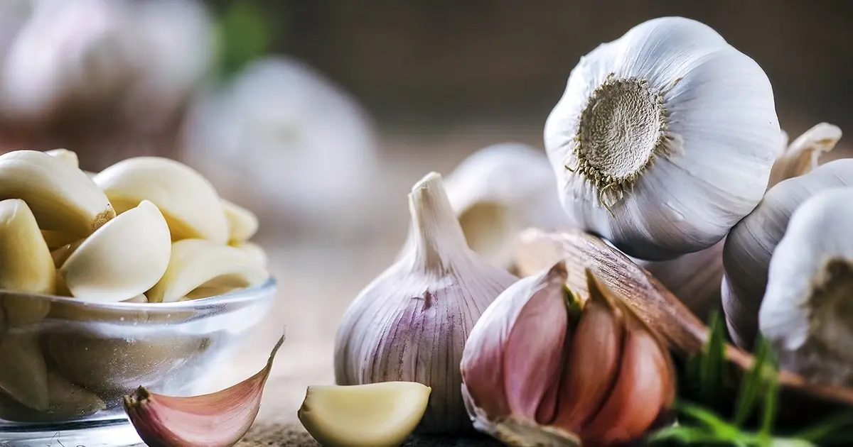 Garlic and Your Health: 12 Ways It May Support the Immune System & Respiratory Health