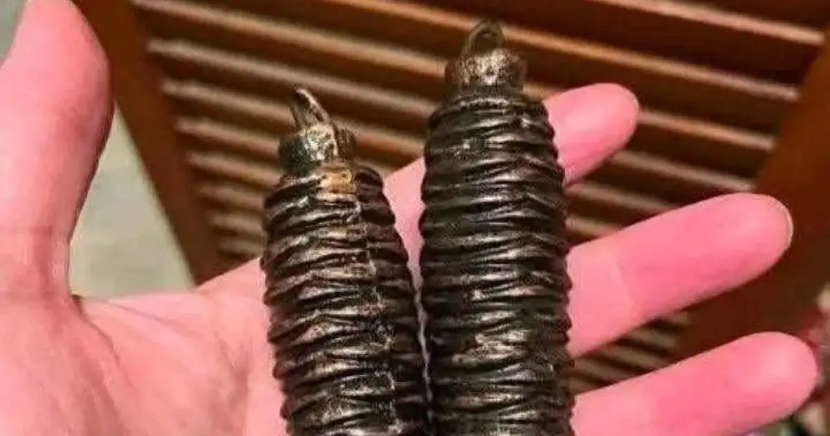 They’re Not Christmas Decorations: What Could These Strange Heavy Objects Be?