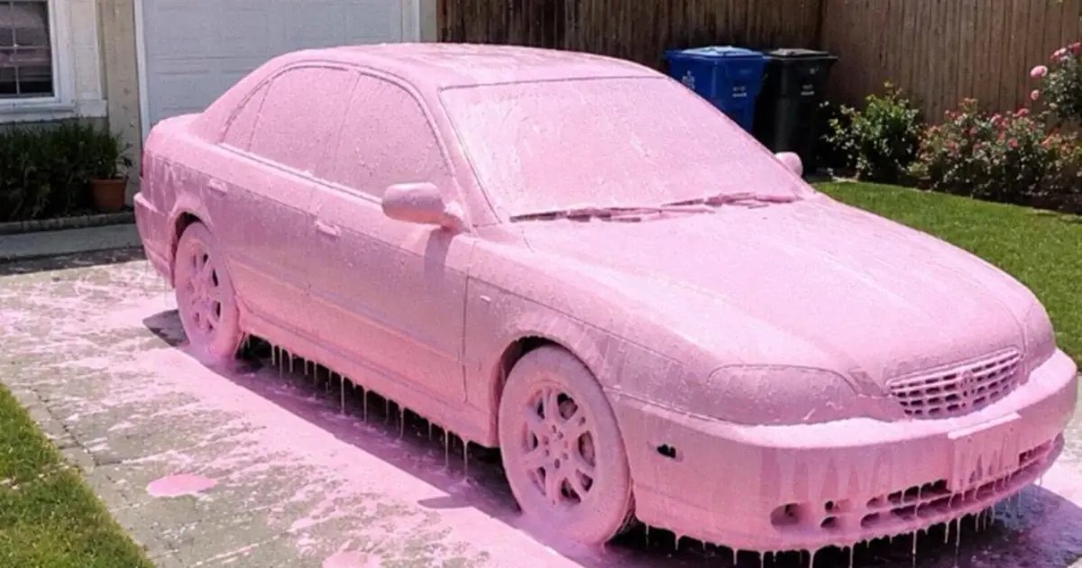 My Neighbor Painted My Entire Car Pink - Then the Next Morning, She Came Screaming About Her Own Car