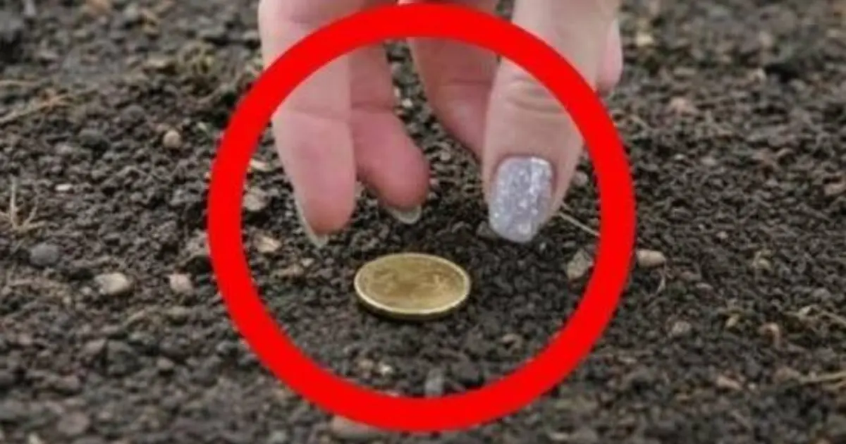 What Does It Really Mean When You Find a Coin on the Street?