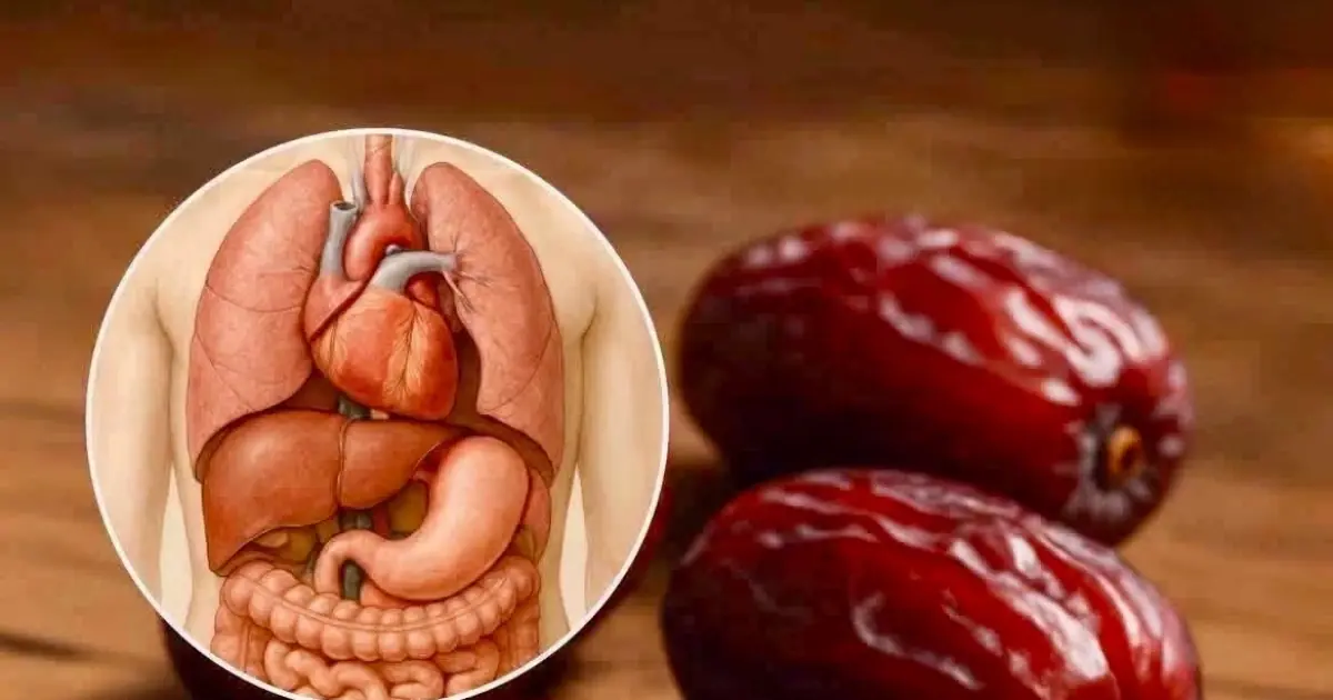 What Happens When You Eat 3 Tamarillos a Day? The Nutritional Benefits of This Often-Overlooked Fruit