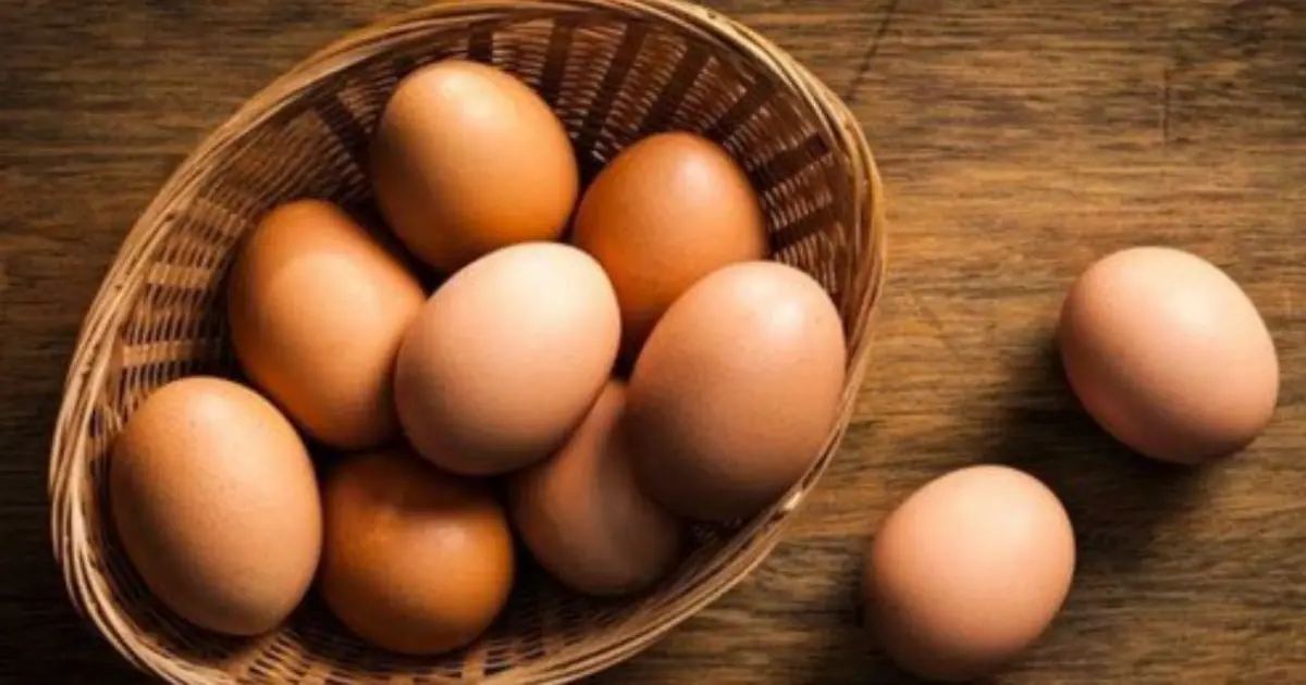 For 5 Months, She Ate Eggs at Every Meal - A Routine Checkup Revealed an Unexpected Result