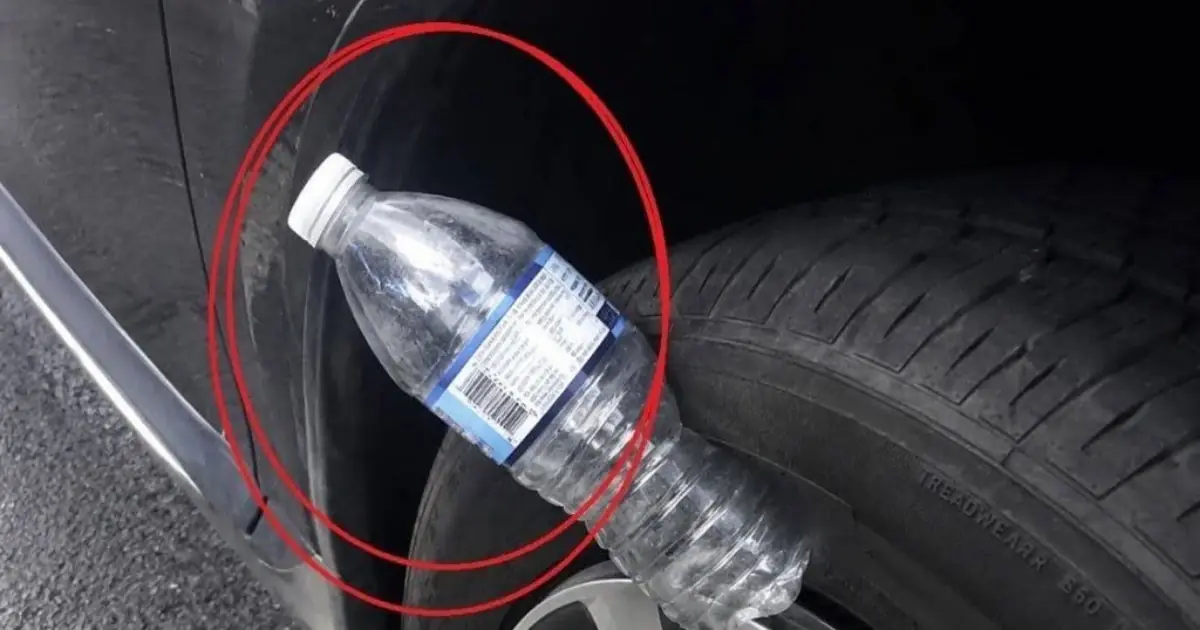 After Losing My Son, My Daughter-in-Law Called Me Terrified: There’s Another Plastic Bottle on My Tire