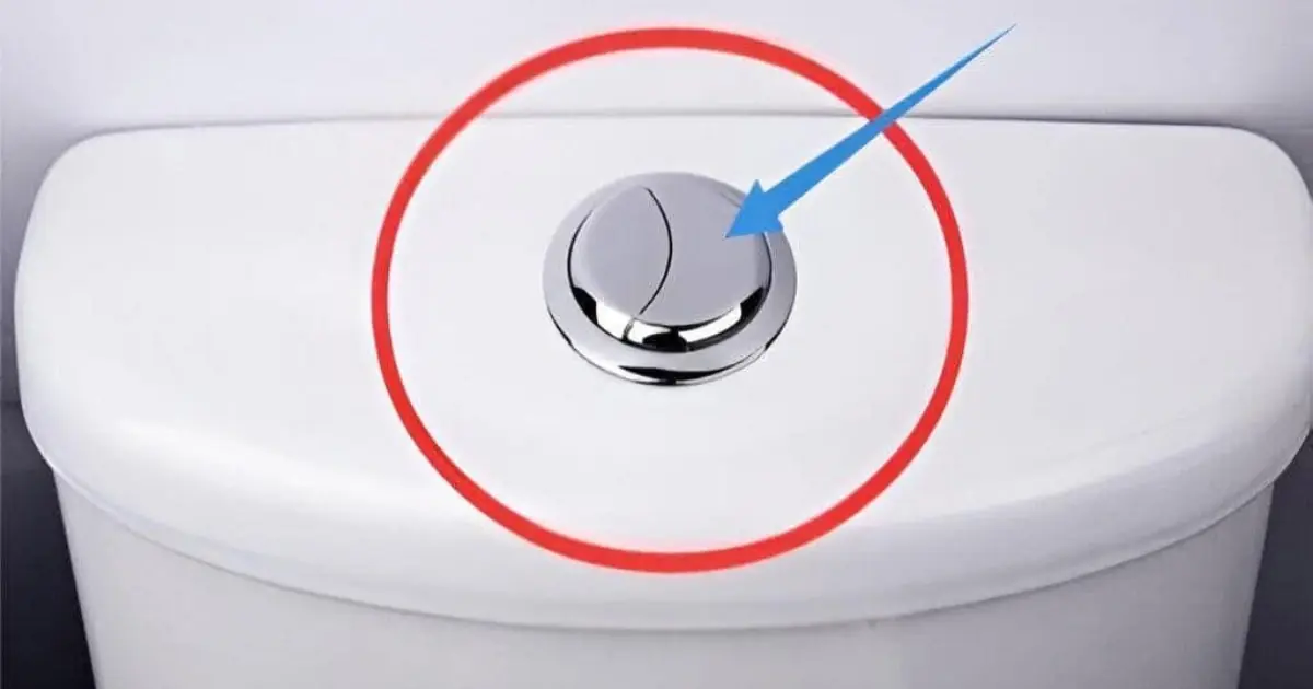 Most People Think These Two Toilet Buttons Only Flush — But They Actually Help Save Thousands of Liters of Water