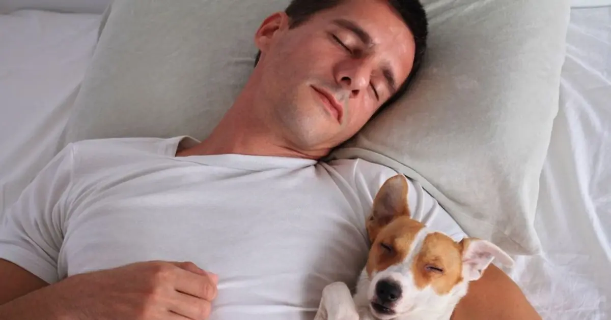 If Your Dog Insists on Sleeping Beside You, Here’s What It Could Really Mean