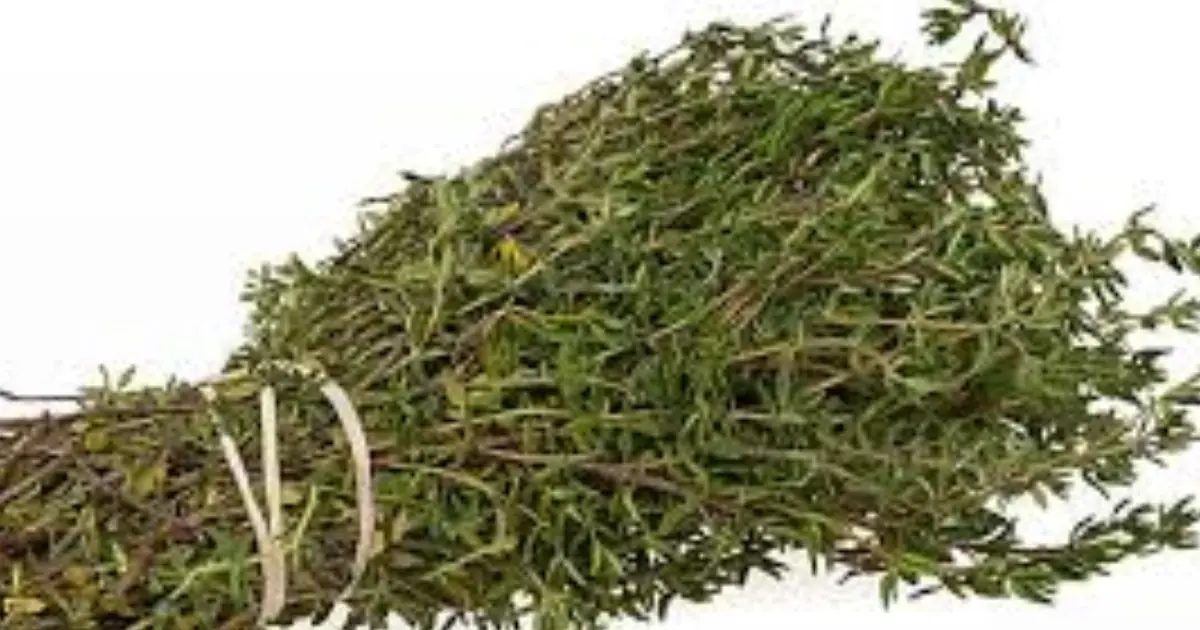 One Simple Herb With a Long History of Traditional Use…  What It May Do for Parasites & Urinary Health Might Surprise You!