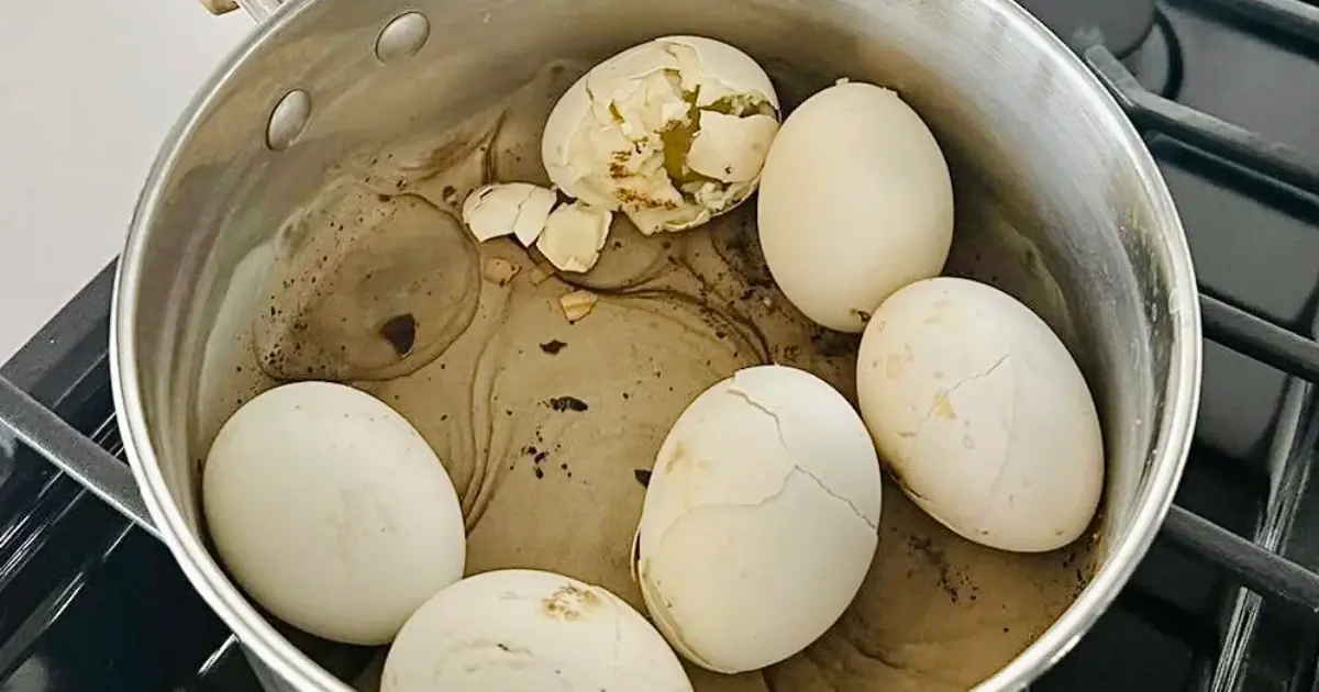 Eggs: Healthy Breakfast Staple or Cholesterol Threat? Here’s What the Science Actually Says Now…