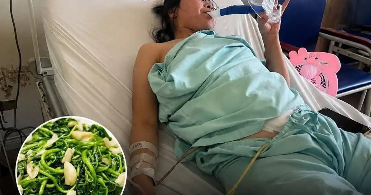 Doctor Says “This Vegetable Is Pois.onous… You Shouldn’t Eat It”