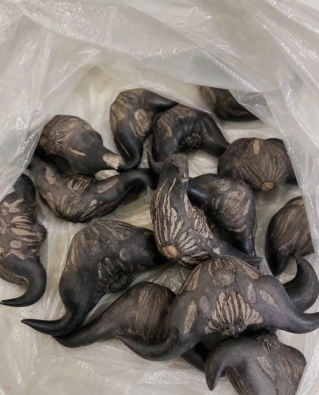 My neighbor gave me a bag of these. Anyone know what they are? How are you supposed to eat them?