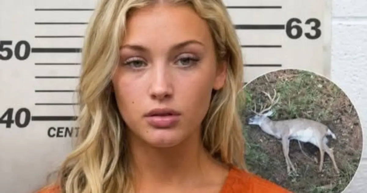 Young Woman’s Unusual Case Sparks Debate About Wildlife Laws and Responsibility