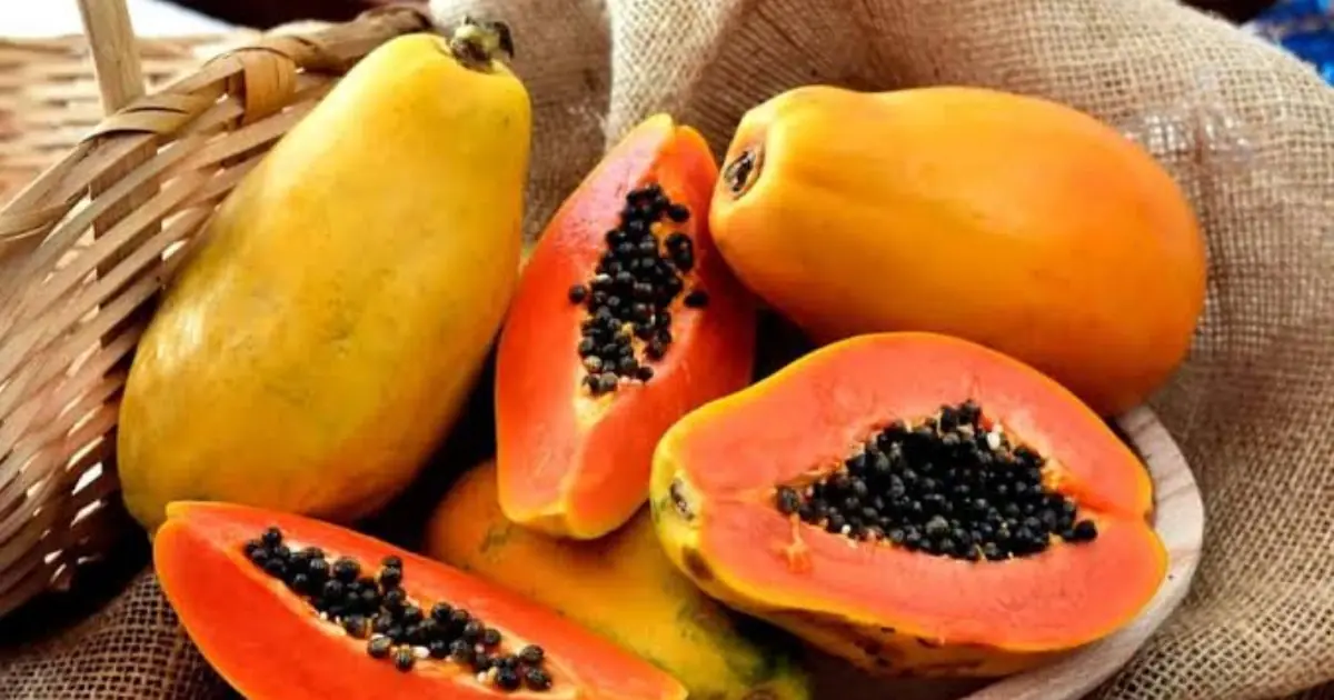 Eating Papaya Isn’t Right for Everyone - These People May Need to Be Cautious
