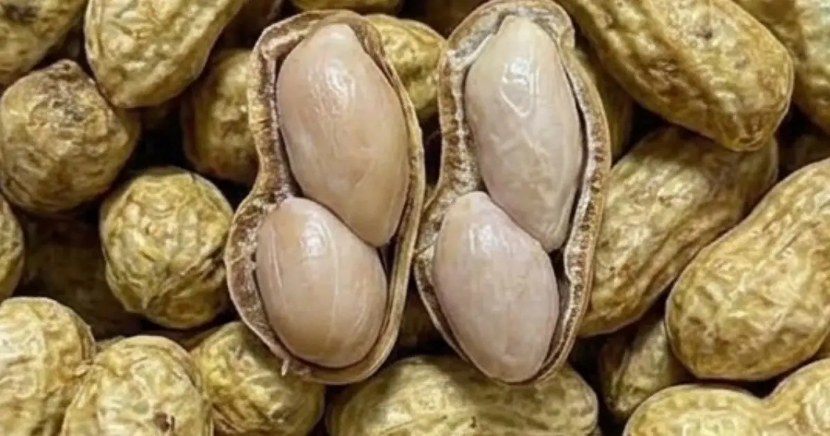 You Eat Peanuts Every Day? These Effects May Surprise You
