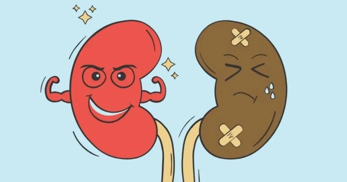 10 Unexpected Signs of Kidney Problems That Can Be Easy to Miss
