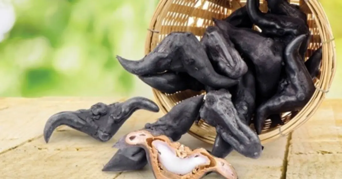 Water Caltrop: A Strange-Looking Food Packed With Surprising Nutritional Benefits