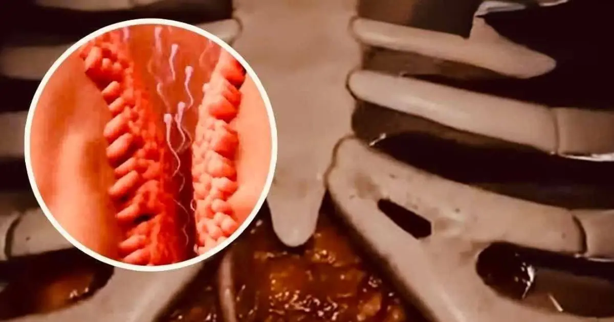 The Truth About a 36-Hour Fast: What Really Happens to Your Body?