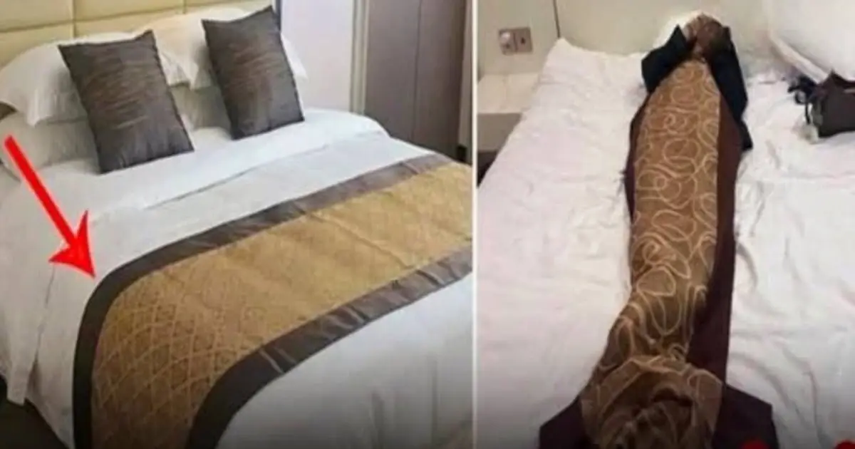 Why Do Hotels Always Place a Cloth Across the Bed? Most Guests Don't Know Its Real Purpose