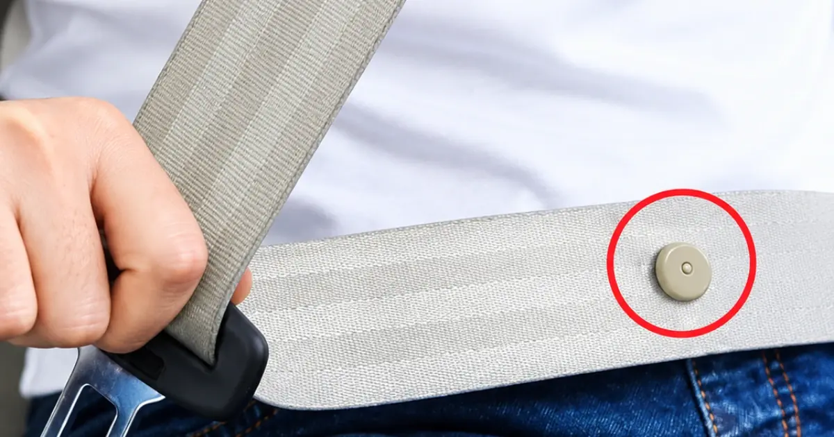 Do You Know What That Little Button on Your Seat Belt Is For? See more...