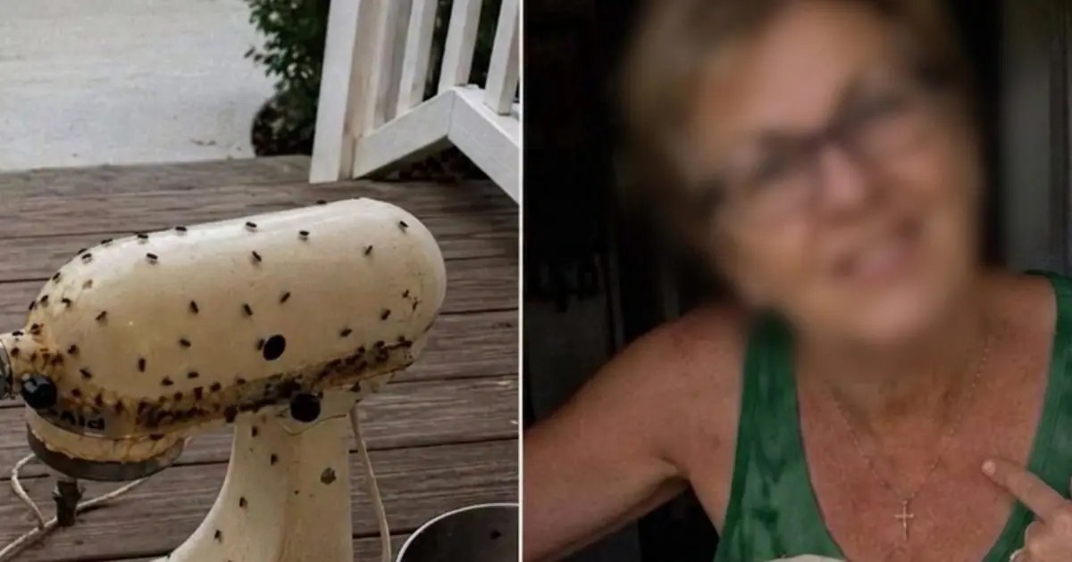 My Neighbor Borrowed My Appliances All the Time—But What She Returned Left Me Speechless