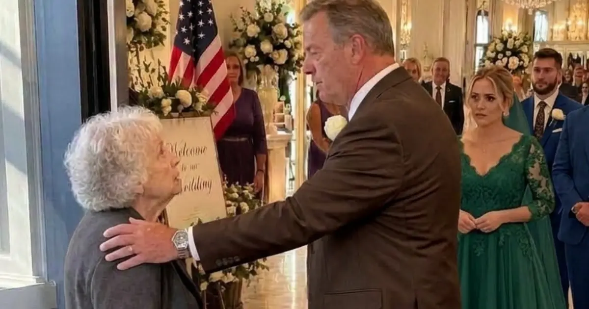 My Son Humiliated Me at My Granddaughter’s Wedding—So I Went Home and Called the Lawyer Who Had Every Receipt