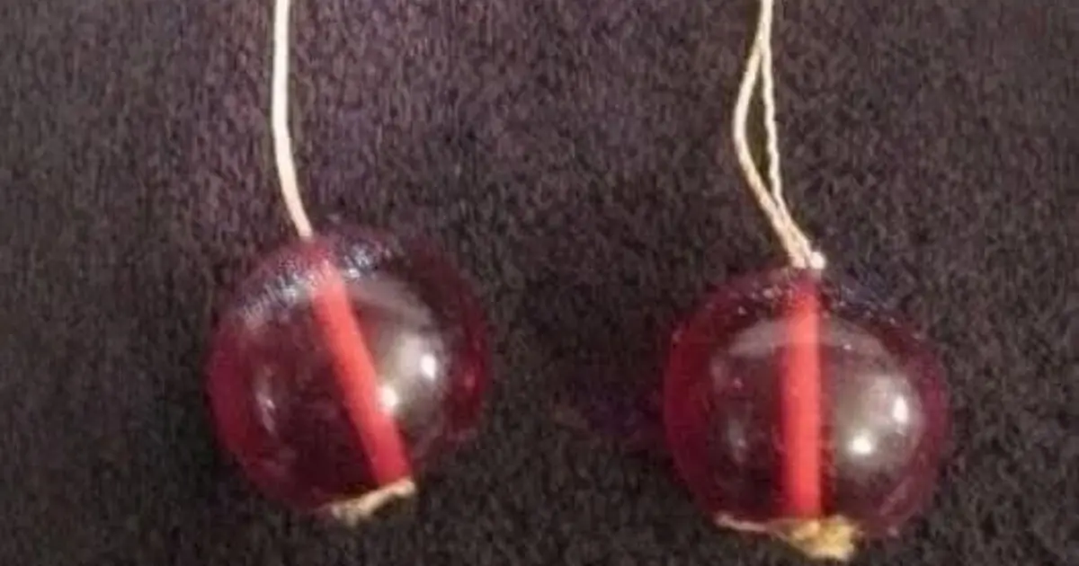 Everyone Was Stumped by These Strange Red Balls - Can You Guess What They Are?